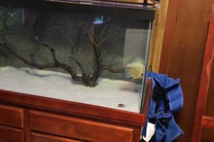 75 Gallon on February 27, 2023