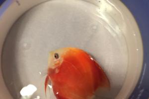 75 Gallon on February 27, 2023