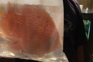 75 Gallon on February 27, 2023