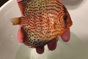 75 Gallon on February 27, 2023