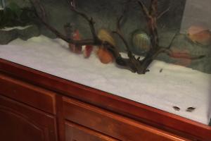 75 Gallon on February 27, 2023