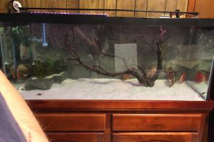 75 Gallon on February 27, 2023