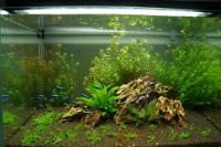 FTS March 19, 2012