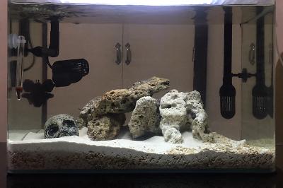 My Aquarium on Mar 19, 2023