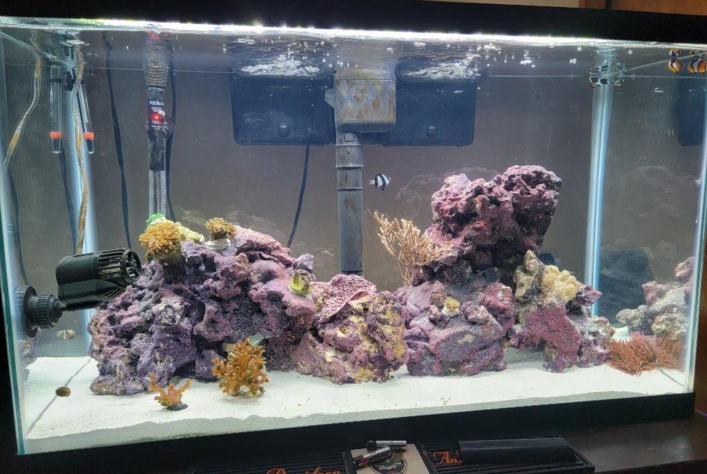 30gal on April 5, 2023