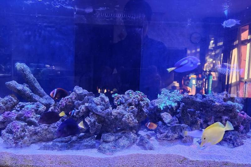 Reefer 350 Thumbnail