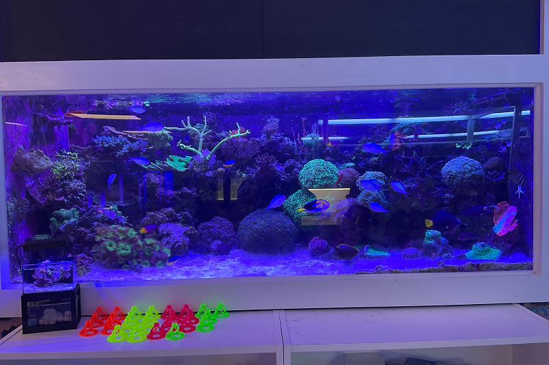 ACAjax InWall Display Thumbnail