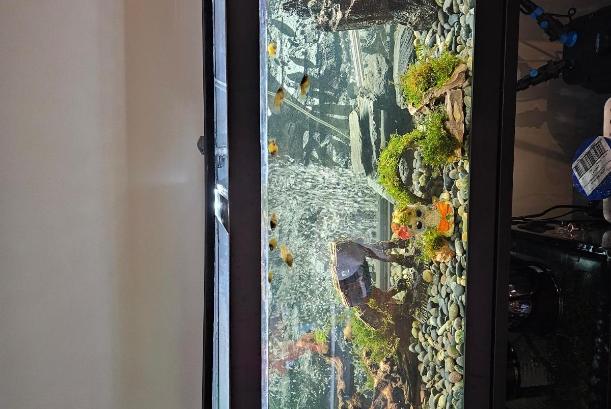 60 gal on May 2, 2023