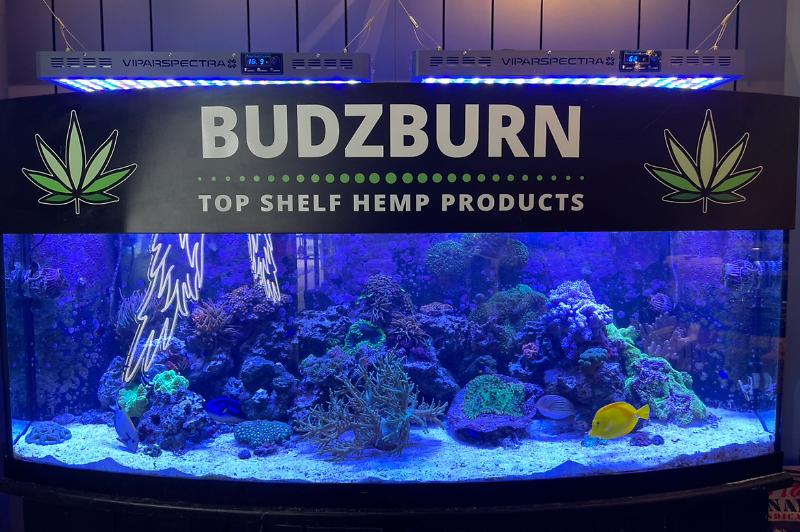 BUDZBURN Thumbnail