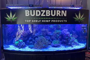 BUDZBURN Thumbnail