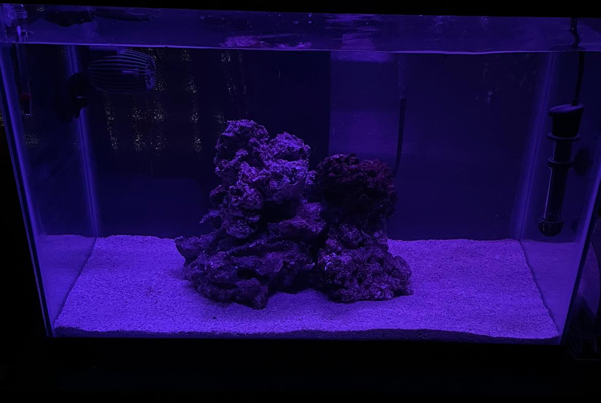 My Aquarium on 2023-07-16T05:15:10.695895Z[GMT]
