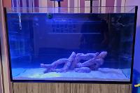 Marine on 2023-07-20
