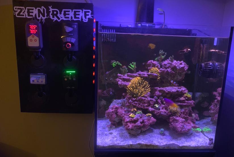 My Aquarium on 2023-09-15T03:26:56.260556Z[GMT]