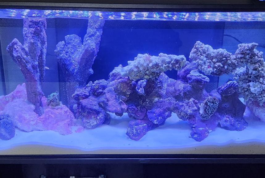 Fluval Flex Marine on 2023-09-15T08:37:42.393362Z[GMT]