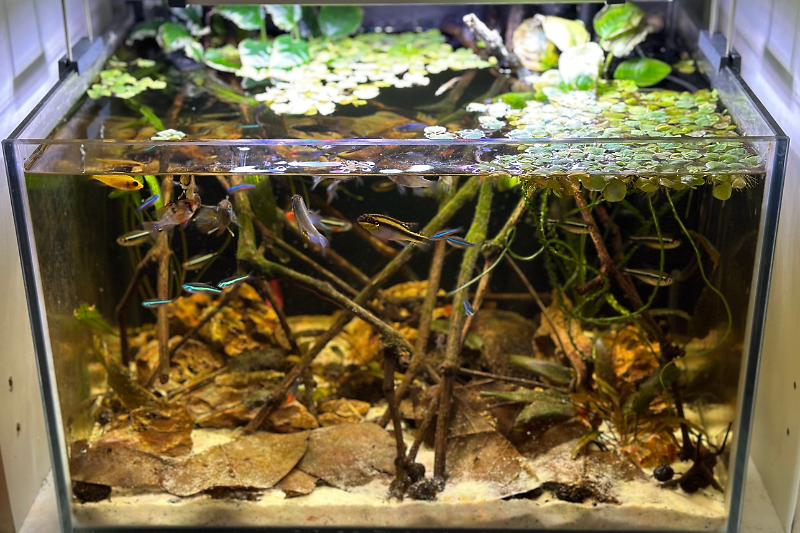 30L Biotop  Thumbnail
