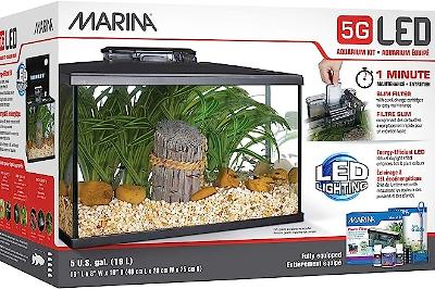 Marina 5G LED on 2023-11-29T19:40:27.053389Z[GMT]