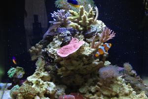 FTS Feb 26, 2012