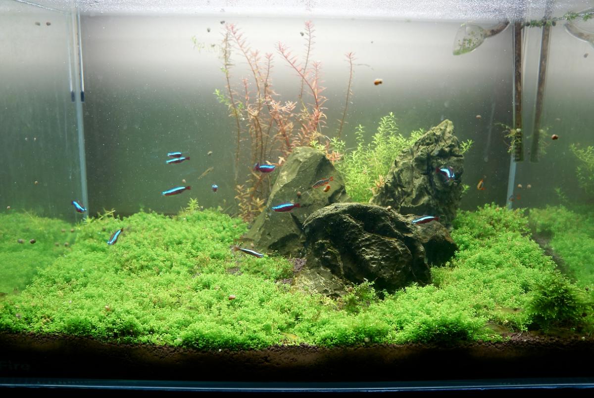 FTS October 17, 2013