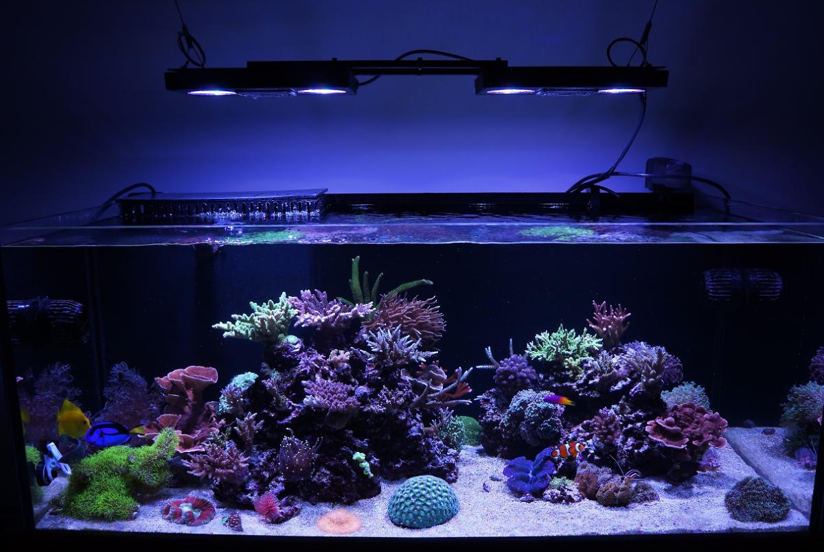 FTS October 10, 2013