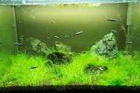 FTS November 15, 2012