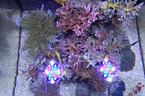 Top -Down FTS December 16, 2013