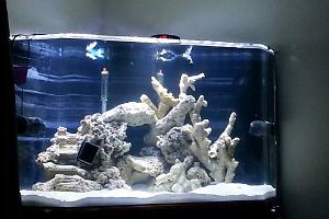 FTS January 1, 2014
