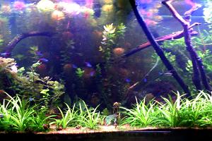 FTS February 3, 2014