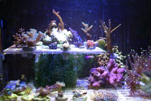 FTS 11-24-2013