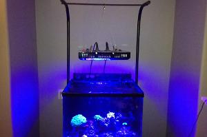 Display Tank Thumbnail