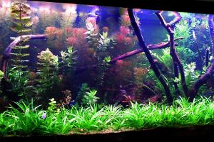 FTS February 26, 2014