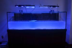 FTS March 8, 2014