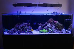FTS March 14, 2014