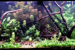 FTS March 16, 2014