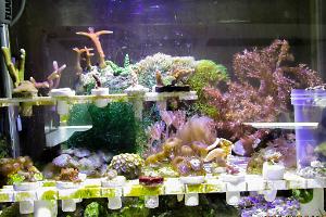 FTS April 16, 2014