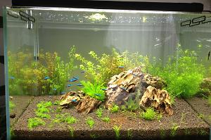 FTS Feb 26, 2012