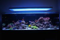 FTS May 25, 2014