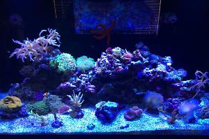 FTS July 2, 2014