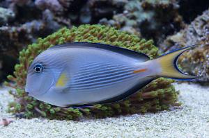 FTS October 26, 2014