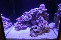 FTS November 17, 2014