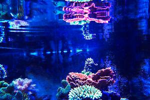 FTS December 5, 2014