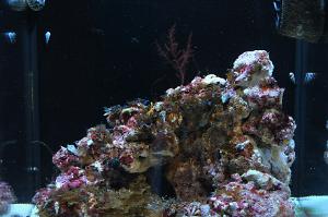 FTS December 13, 2014